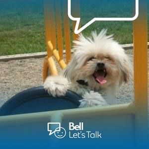 Meet your Posher, Jodi